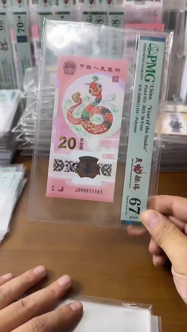 塑料099911181蛇钞单张