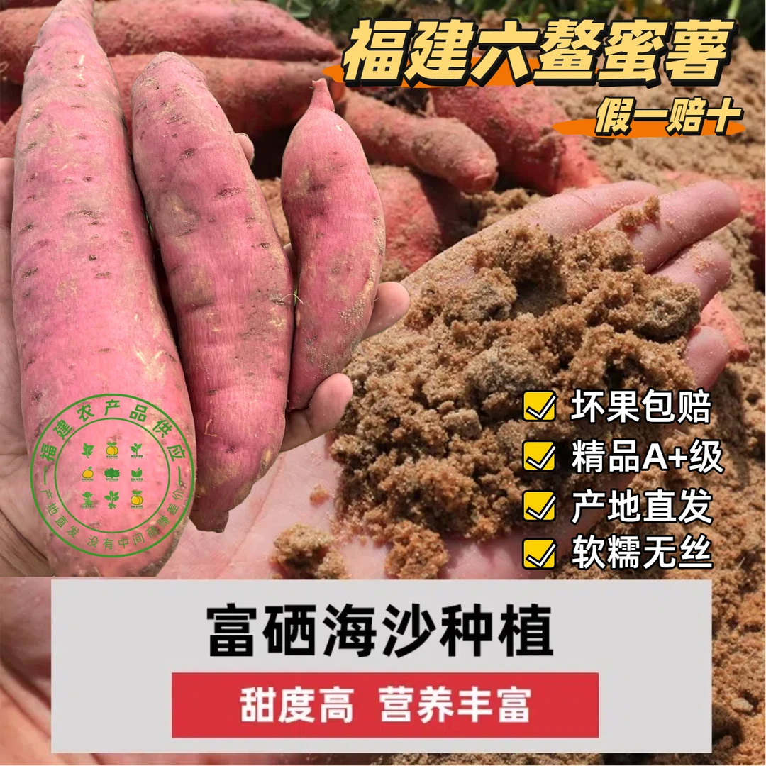 正宗福建六鳌蜜薯农家红薯软糯香甜红心蜜薯沙地红蜜薯番薯
