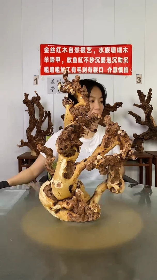 香榧木新****馆金丝红木   羊蹄甲