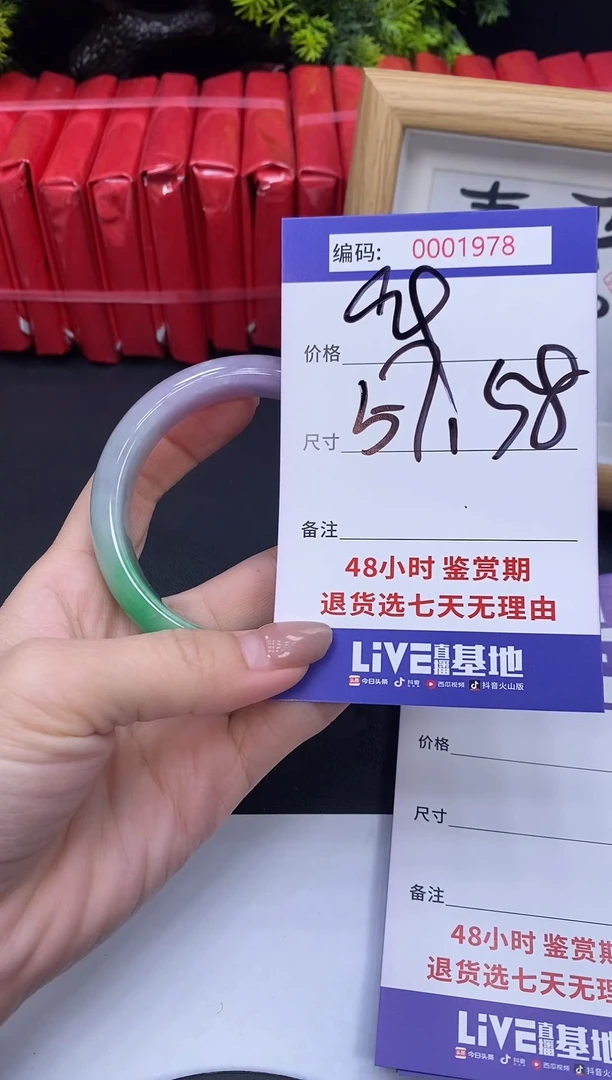 未镶嵌手镯翡翠0001978