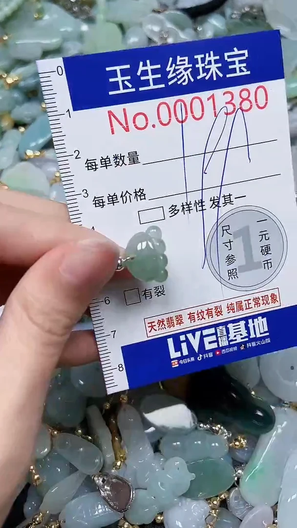 【闪购商品】翡翠颈饰未镶嵌闪购00001380