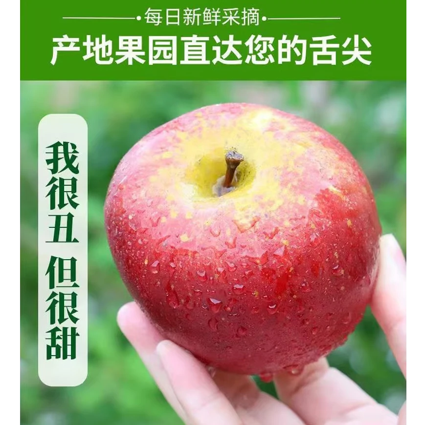 正宗云南昭通高原丑苹果新鲜现摘现发脆甜多汁水果 9分甜1分果酸