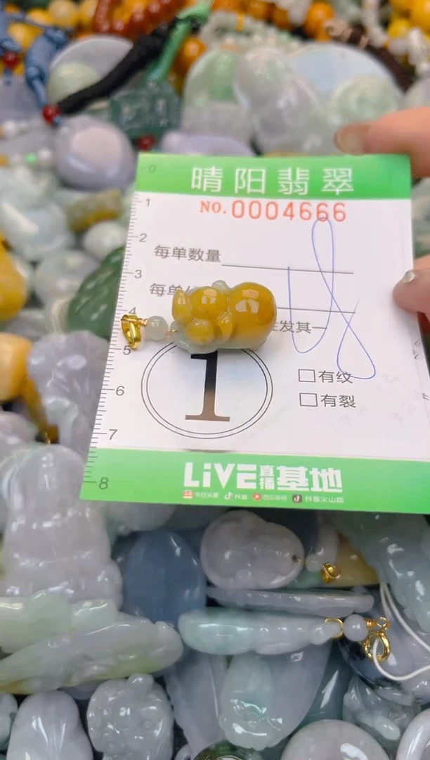 颈饰未镶嵌翡翠闪购0004666