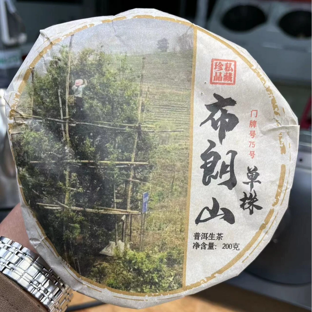 (CN513)ywy/2024年头春/曼班老寨75号单株/普洱生茶/200g饼