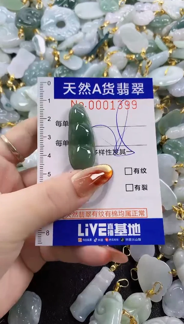 颈饰未镶嵌翡翠天然A货翡翠