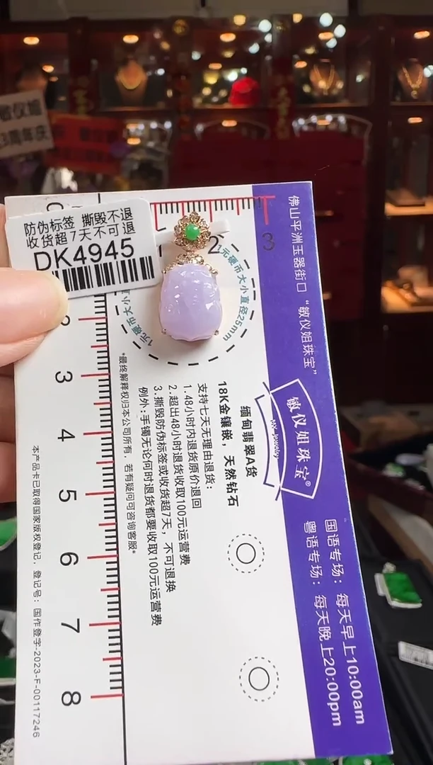 翡翠18K金镶嵌颈饰DK4945紫冰貔貅