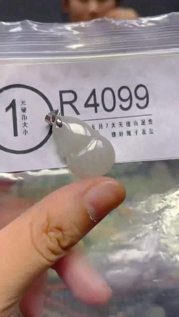 翡翠未镶嵌颈饰/R/翡翠A货,一件也是批发价