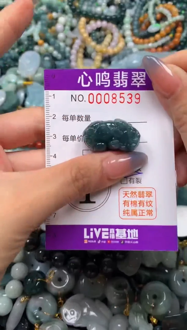 颈饰未镶嵌翡翠闪购008539