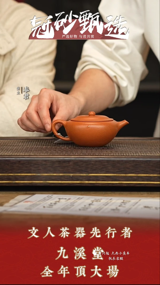 九溪堂壶紫砂茶壶137