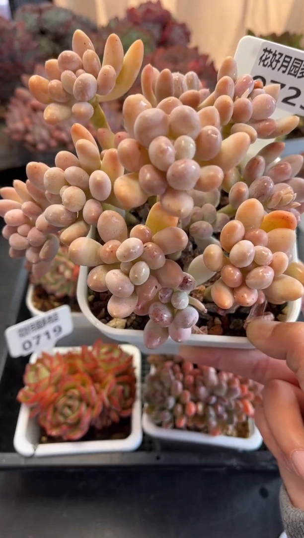 0723（天冷必拍保温箱）