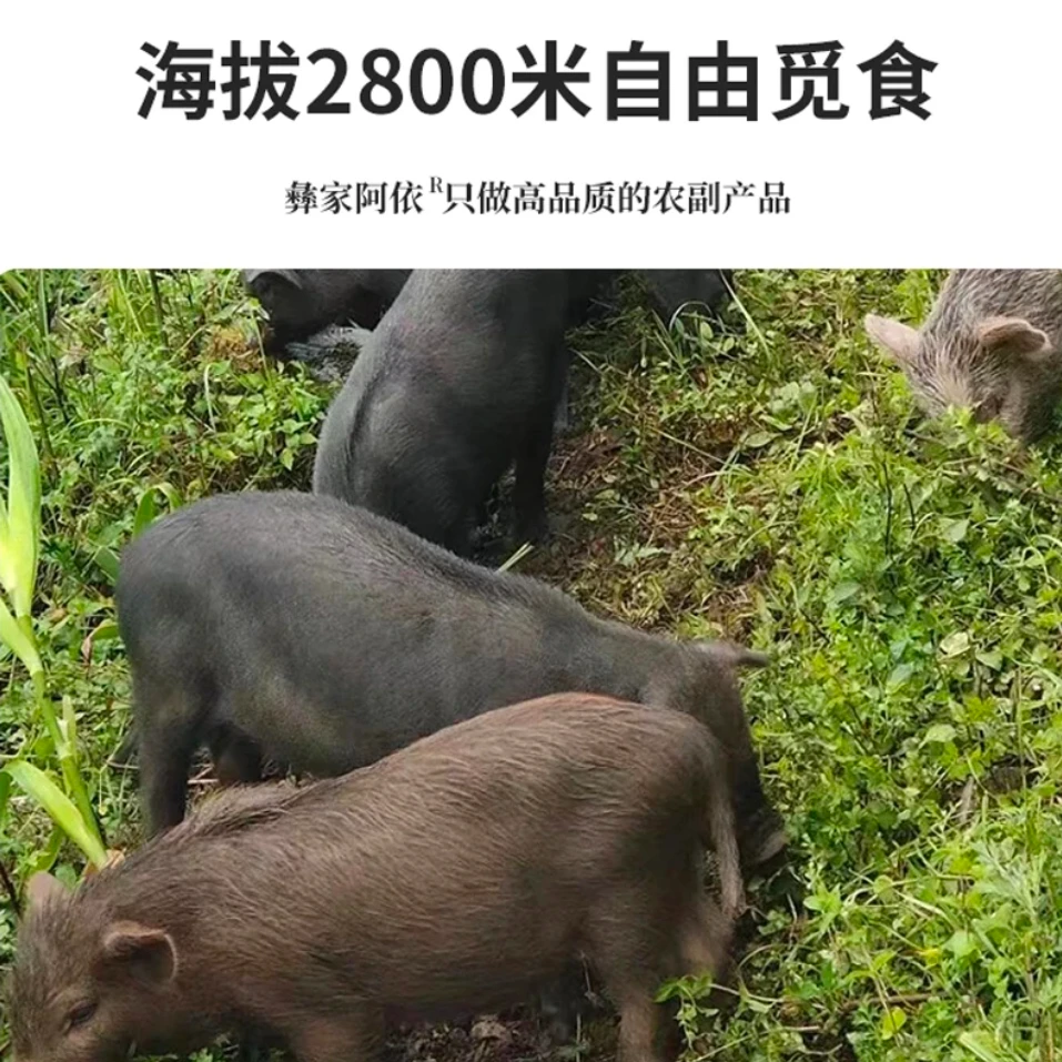 [林林]湖北恩施藏香猪肉分割