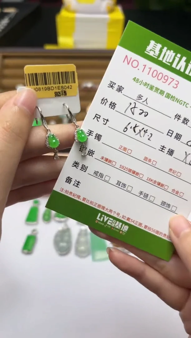 银S925镶嵌翡翠耳饰多人