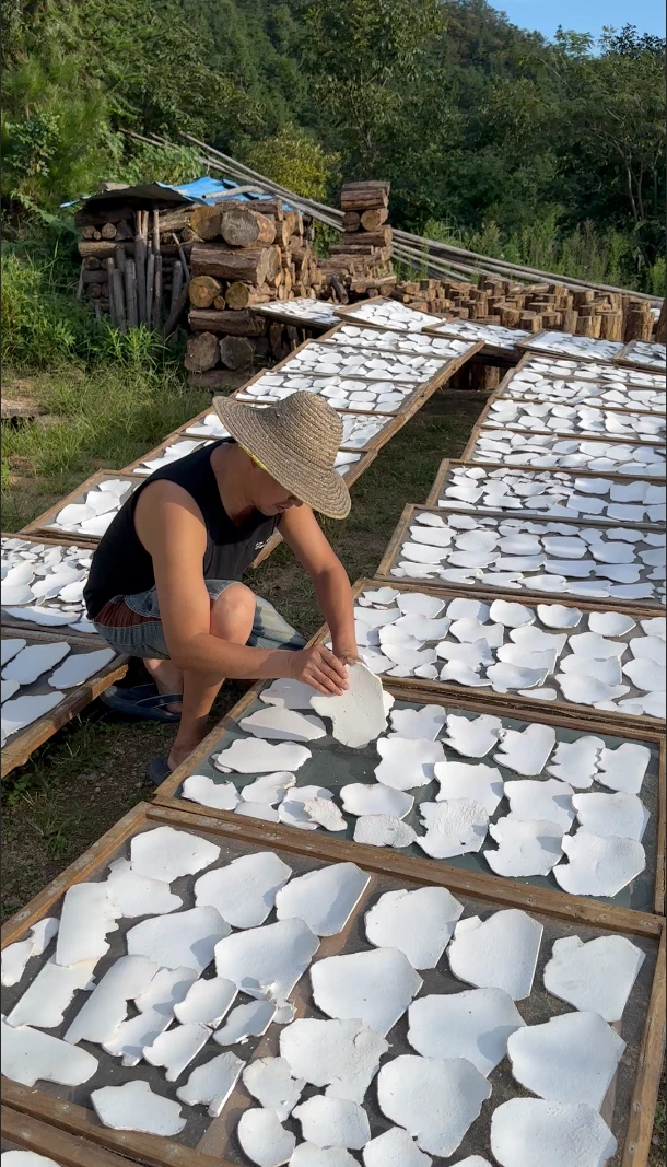 岳西茯苓片产地直销直播第一名正宗生切生晒无硫大别山茯苓泽泻茶