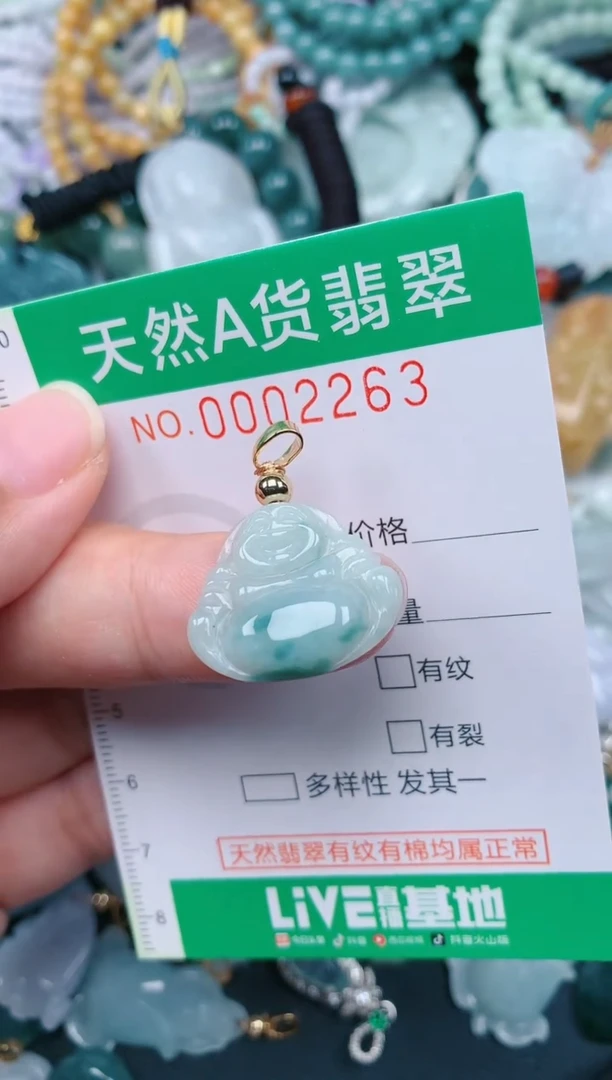 颈饰未镶嵌翡翠.0002263