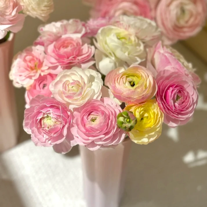 【探花甄选】混色洋牡丹   拍满两单升级顺丰冷链包邮