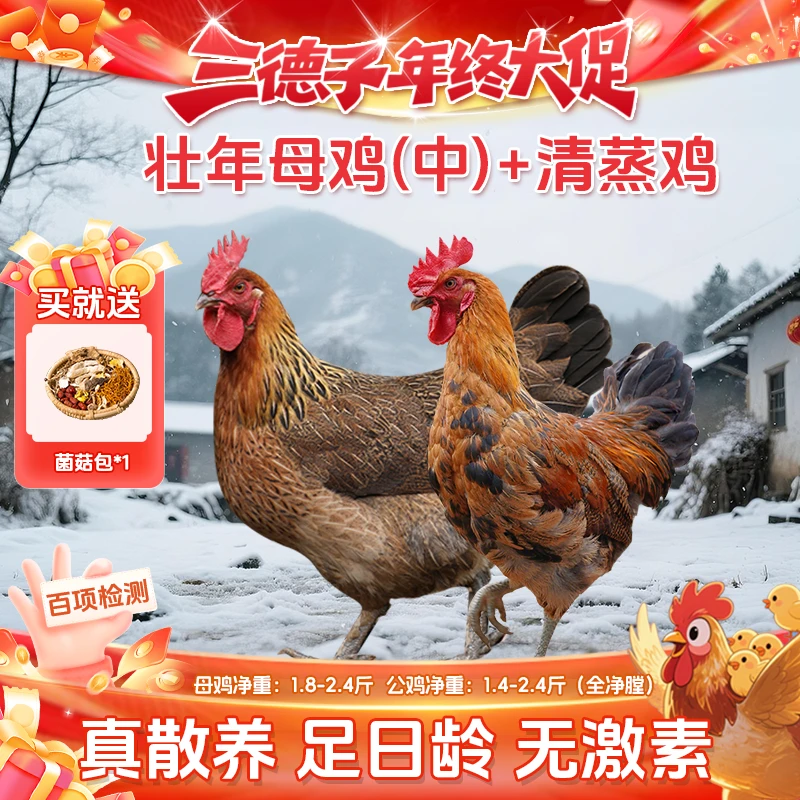 三德子【母子组合】壮年母鸡+清蒸鸡童子鸡散养跑山鸡土鸡童子鸡