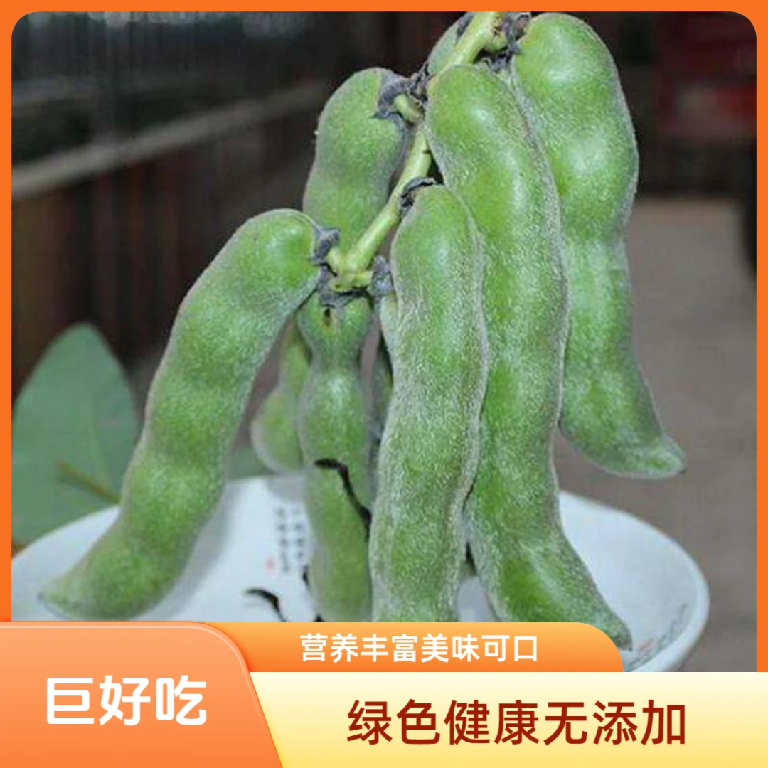 【宠粉福利】四川龙爪豆带皮狗儿豆炒辣椒好吃1/2/3/5/8斤现摘