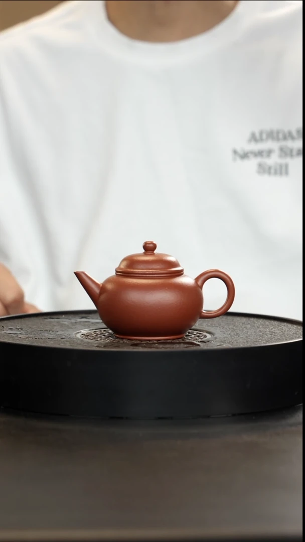 茶壶紫砂黄龙山生砂生料朱泥西施大漏