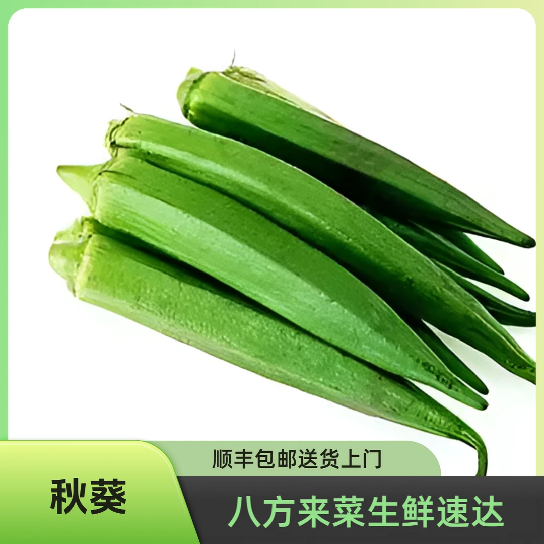 秋葵 约250g/份新鲜