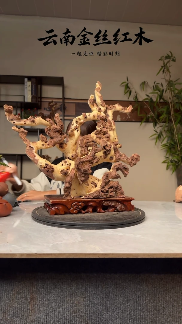 木何*金丝红木J445