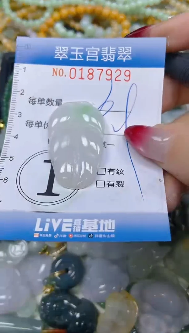 翡翠未镶嵌颈饰闪购0187929