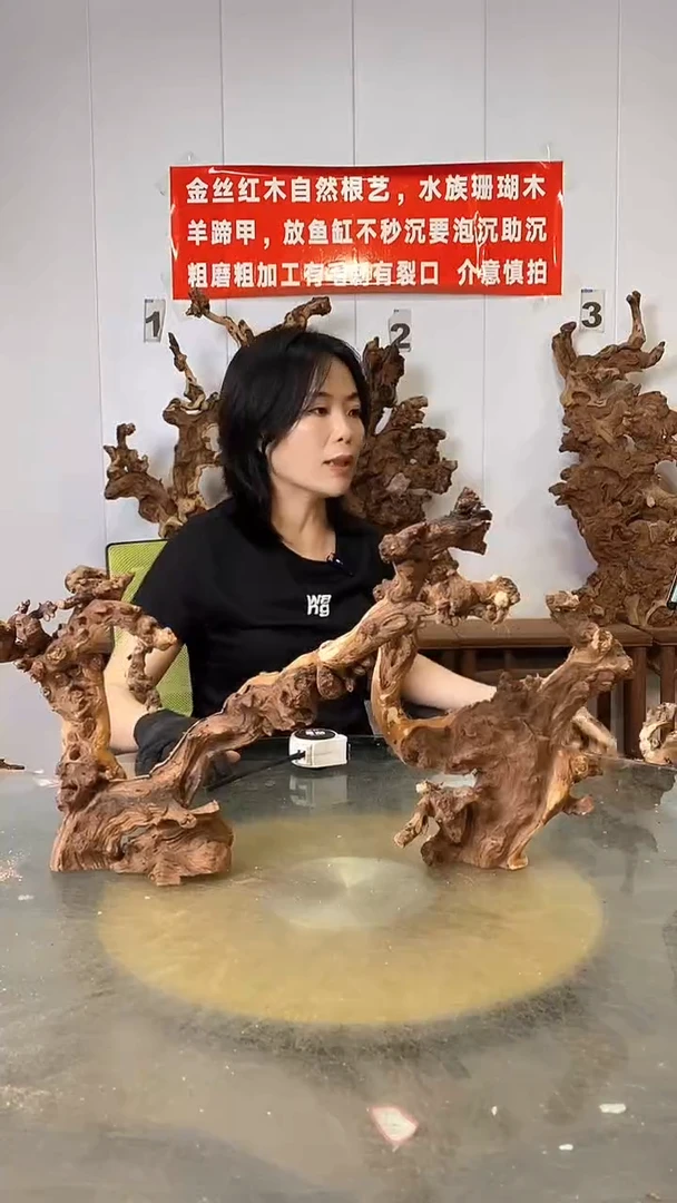 香榧木金丝红木  羊蹄甲