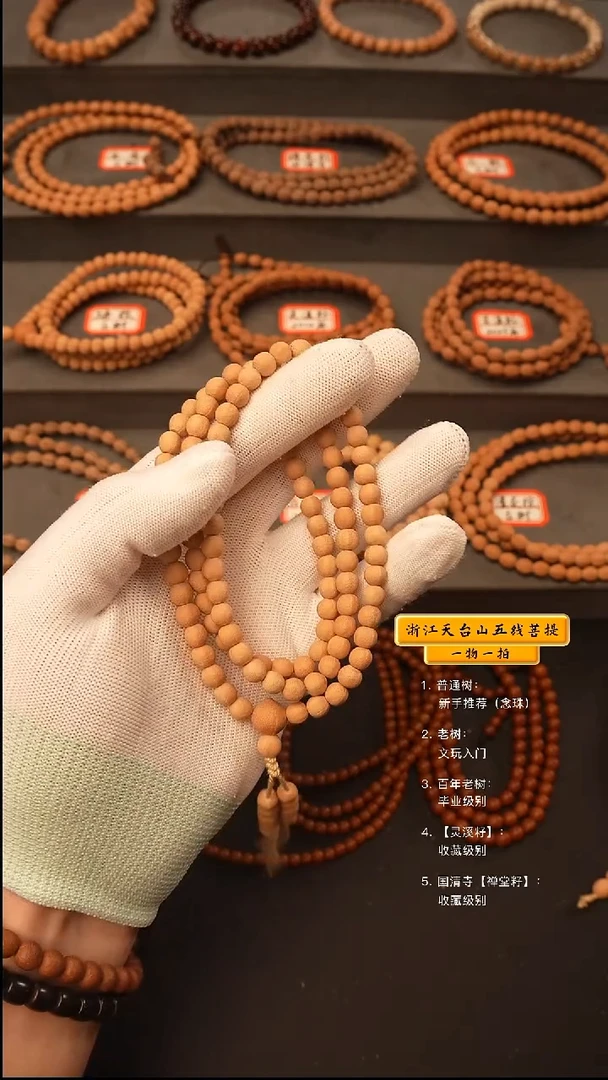 吊坠五线菩提T****sy脖挂