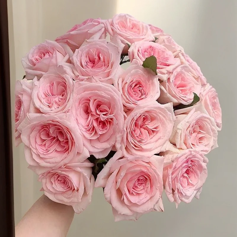 鲜花【粉荔枝】家庭插花   同地址任意两单冷链快递包邮送货上门