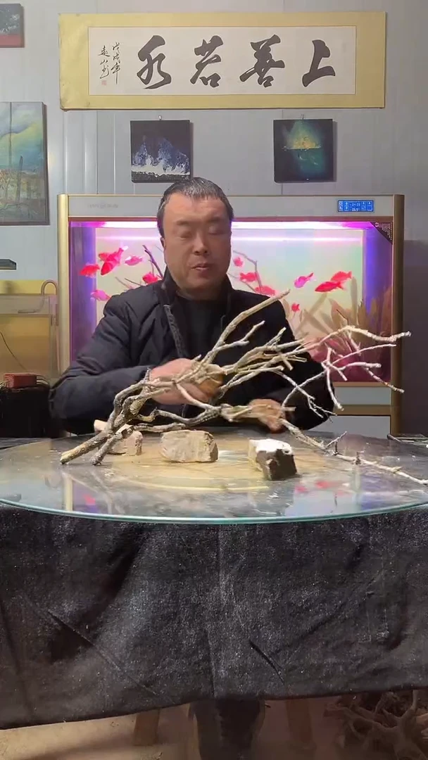 133号天然黄栎木一组适合50-60缸