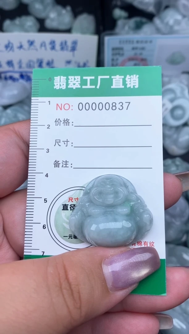 翡翠未镶嵌颈饰缅甸天然A货翡翠0837