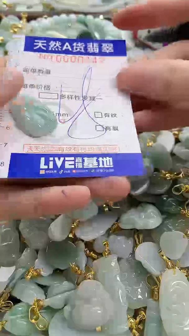 颈饰未镶嵌翡翠纯天然a货翡翠1