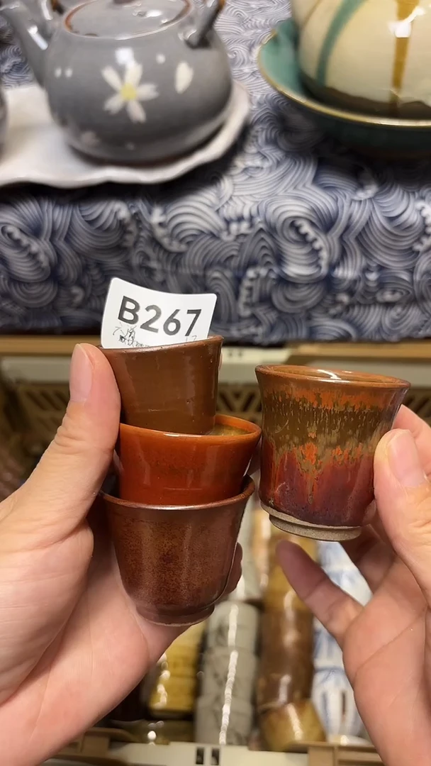 瓷片六**回喵喵家都是大漂亮