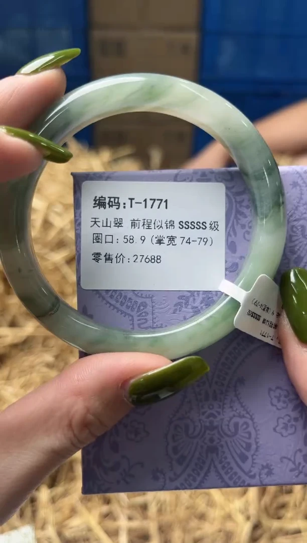 未镶嵌手镯石英质玉T1771