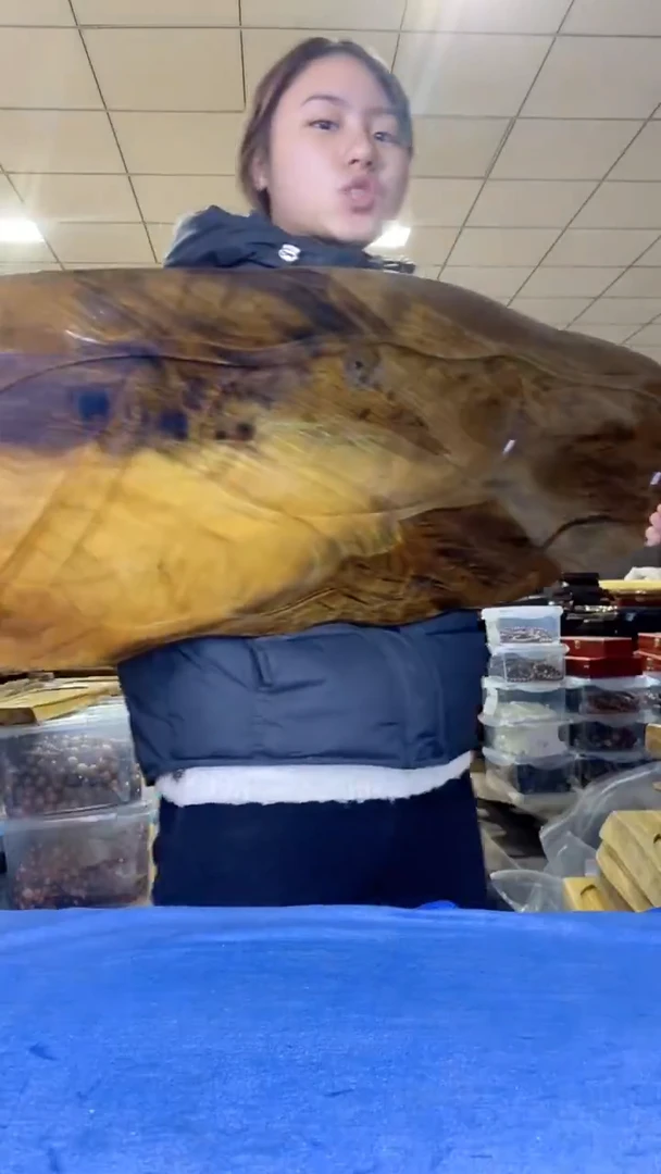 109烂木头茶盘干泡（不含配件）