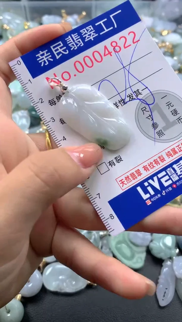 颈饰未镶嵌翡翠4822