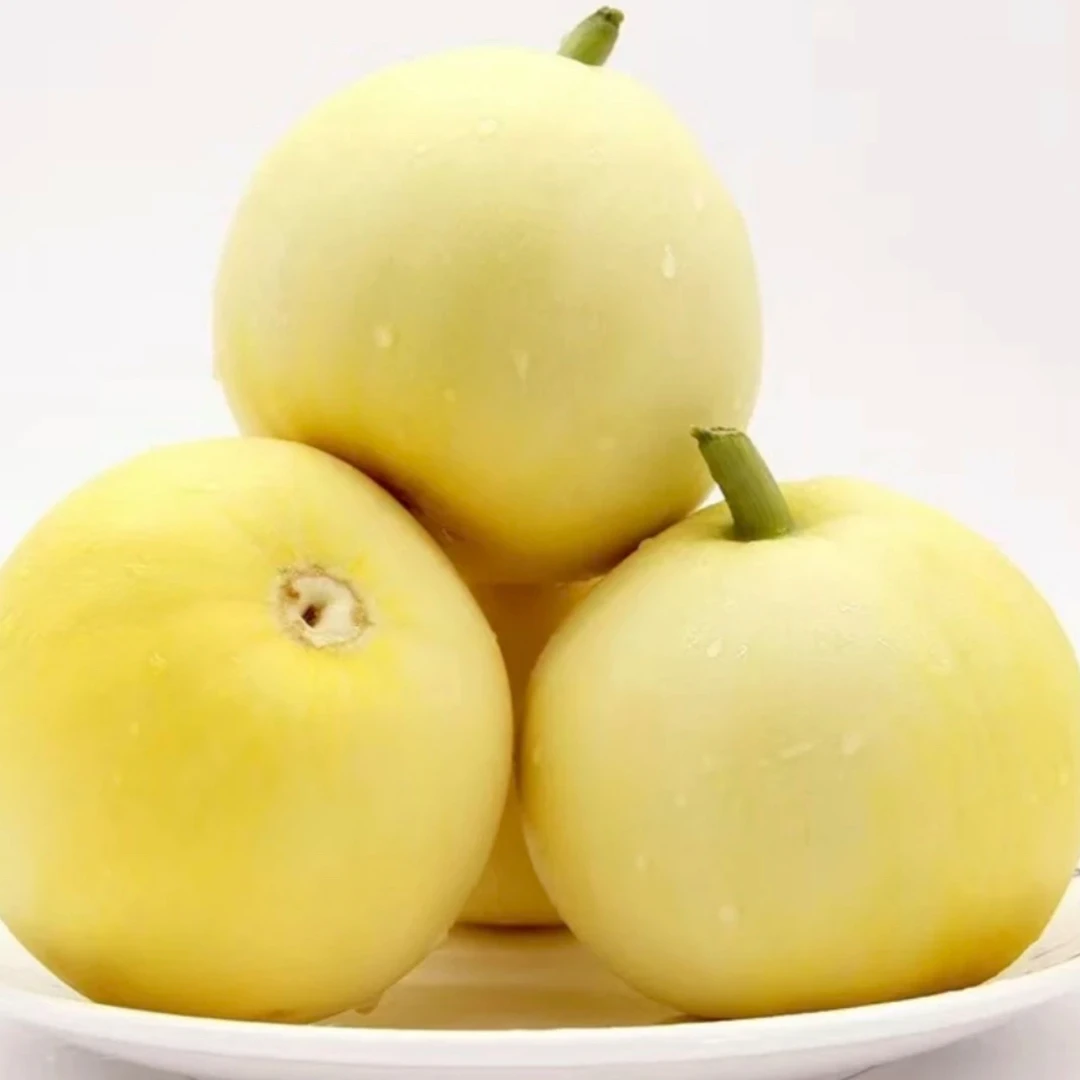 次日达山东头茬小蜜蜂甜瓜5-6斤