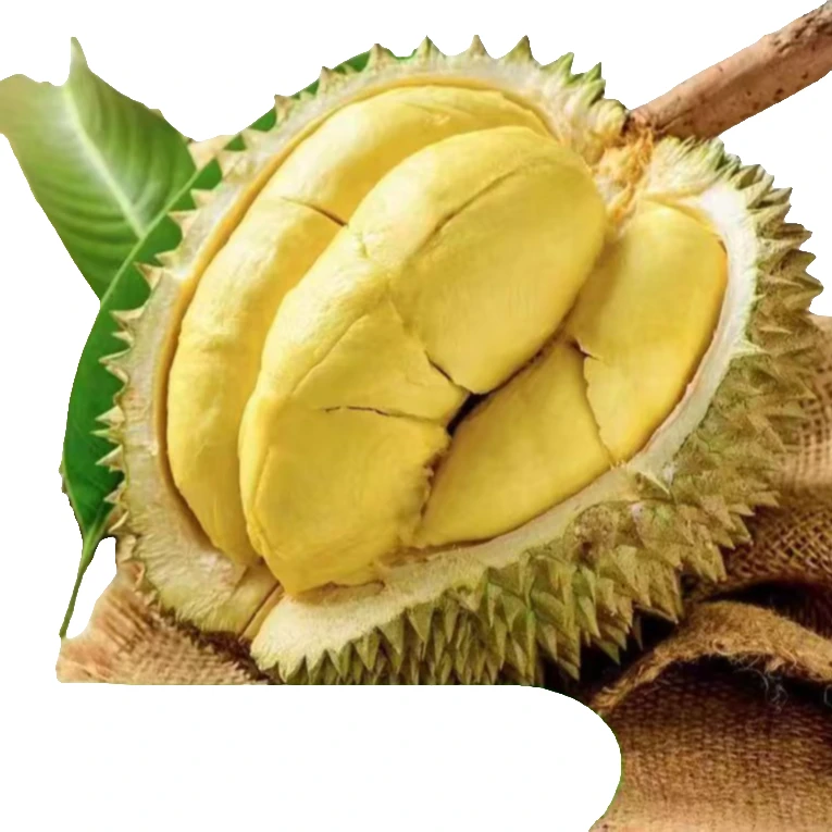 【2号称小羊榴莲泰国金枕手挑果】泰国空运树熟新鲜金枕榴莲京东包邮3-10斤 明天到核小榴莲同城送金枕泰国东部