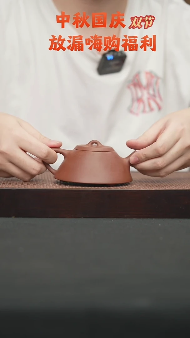 茶壶紫砂22底朝青平盖石瓢壶