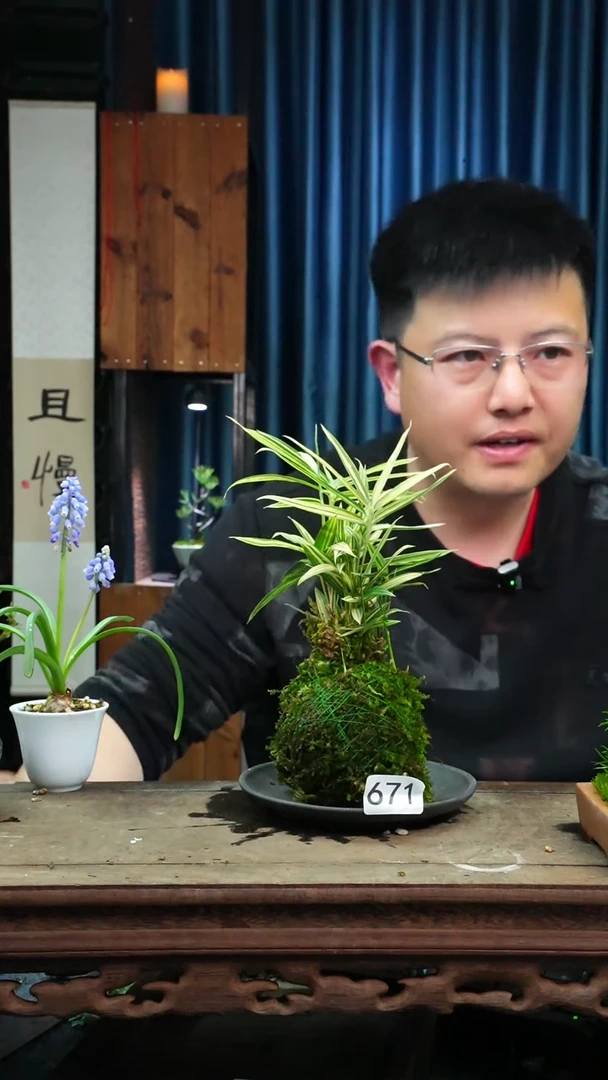 【闪购商品】苔藓微景观671号
