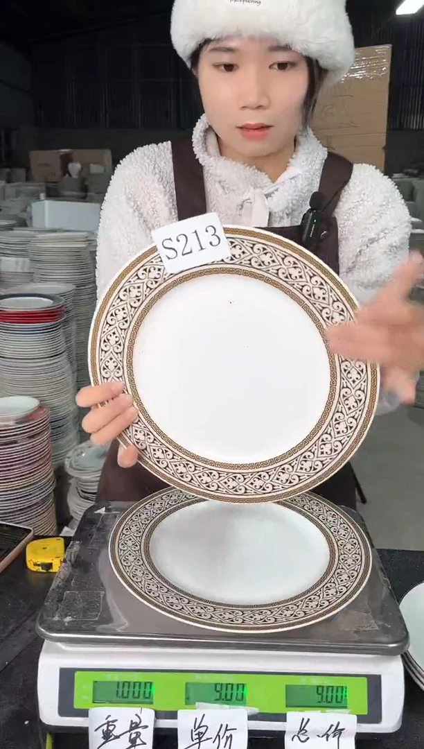 【闪购商品】瓷S213  10.5寸  2个