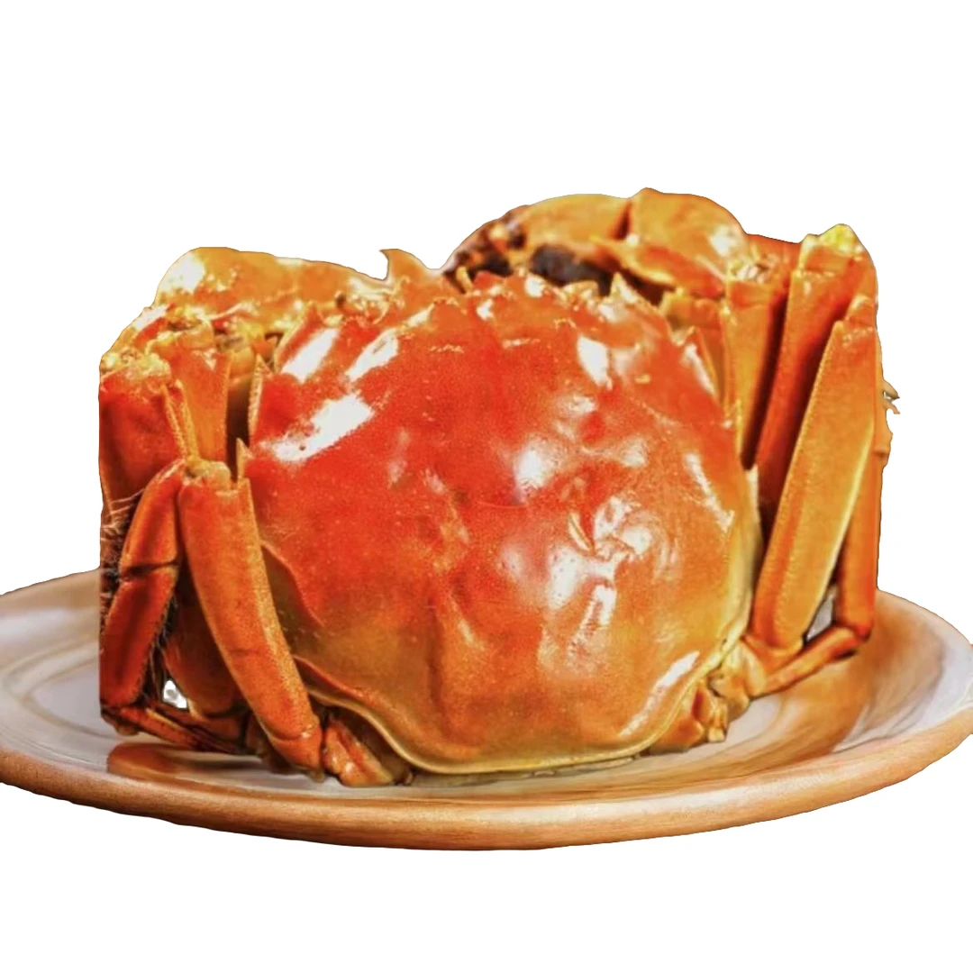 【节日优选】鲜活-江苏大闸蟹（单只母蟹）1.5-4两规格齐全