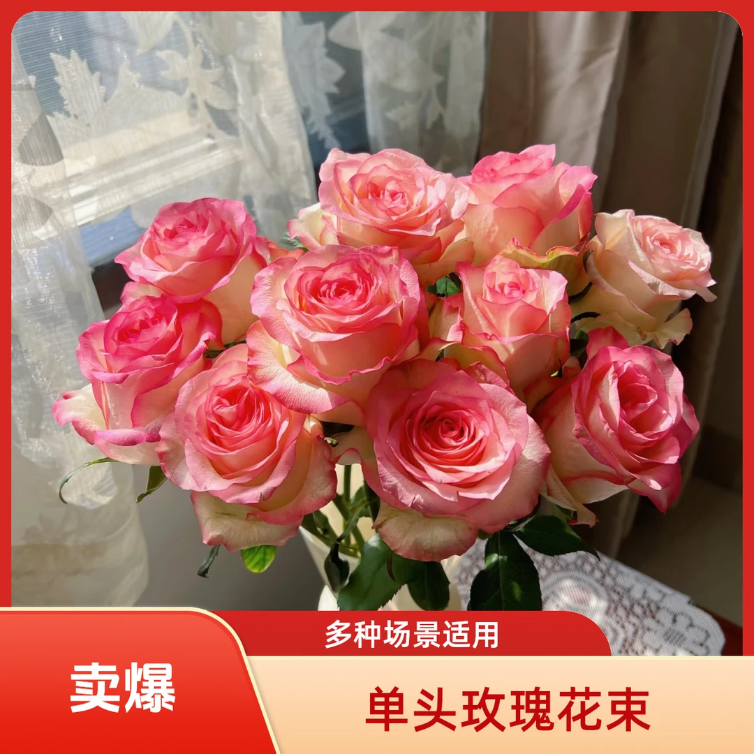 【电广好物】艾莎单头鲜花玫瑰10至20支工厂直发送礼繁星摆件
