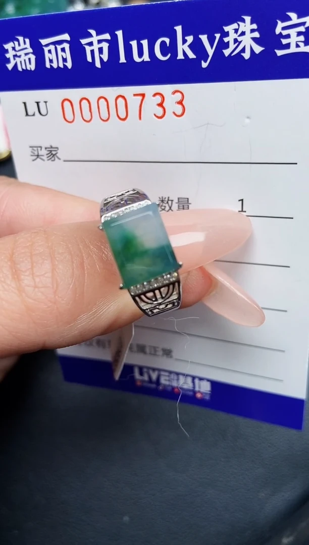 【闪购商品】翡翠颈饰银S925镶嵌0733