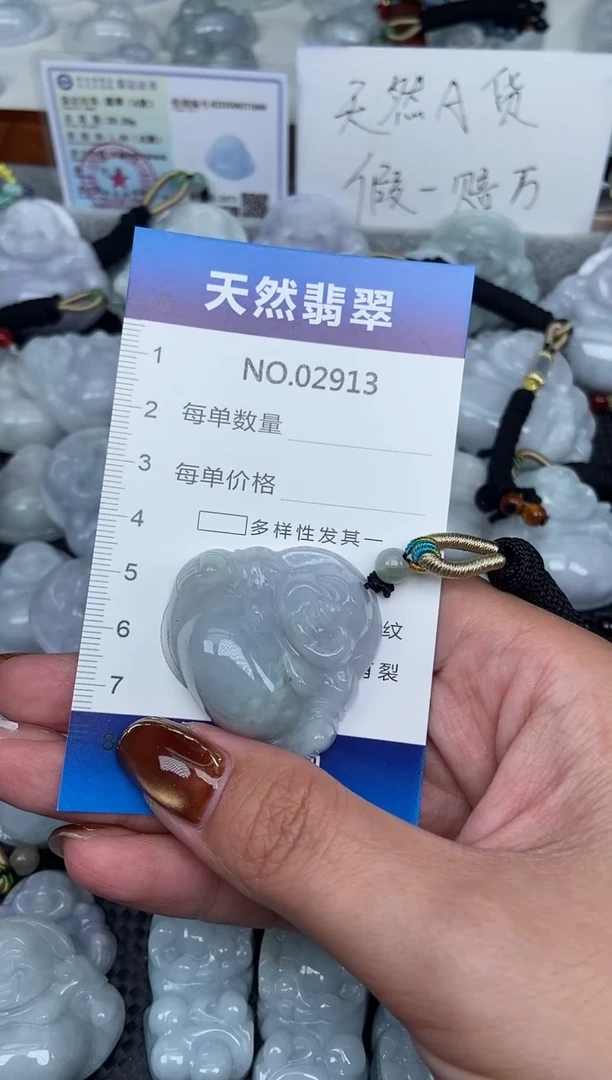 颈饰未镶嵌翡翠纯天然A货翡翠2913