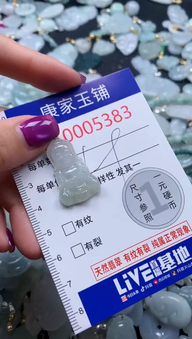 颈饰未镶嵌翡翠5383