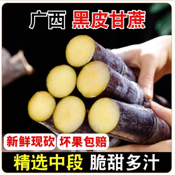 D1 广西正宗黑皮甘蔗新鲜水果应季现砍现发脆甜多汁孕妇果5-9斤