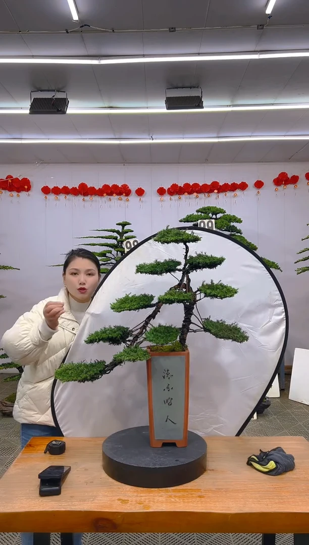 【闪购商品】盆景1