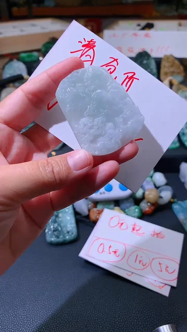 【闪购商品】翡翠颈饰未镶嵌挂件