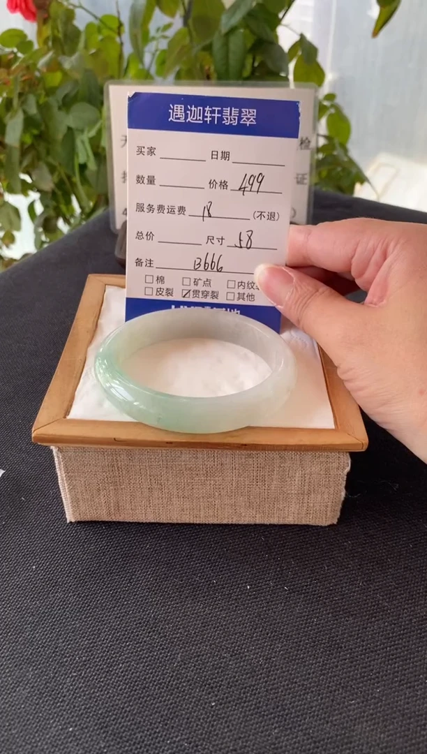 未镶嵌手镯翡翠58圈口 B666编码