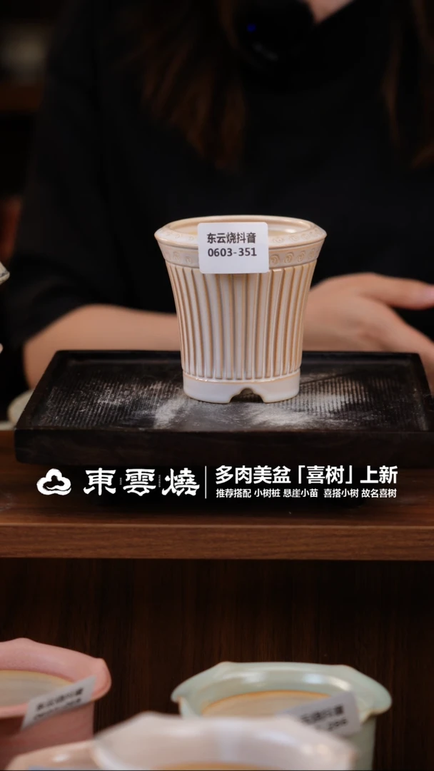 0603-351B 安娜口7